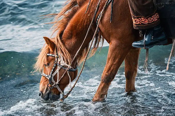 Caballo